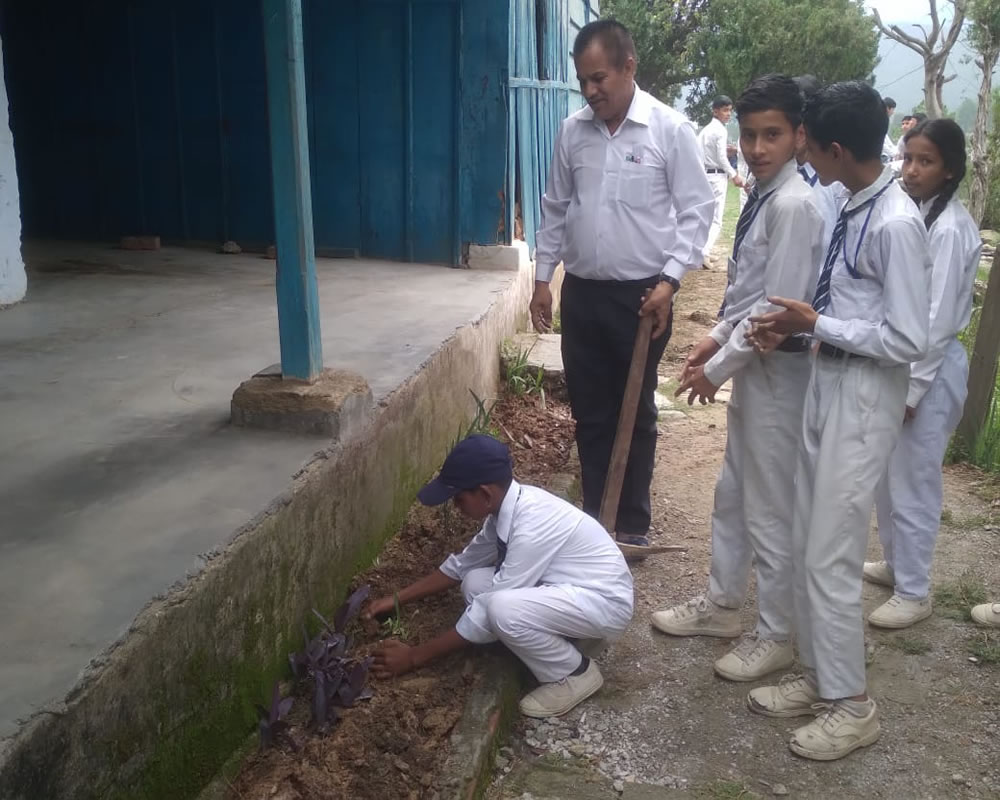 Activity
